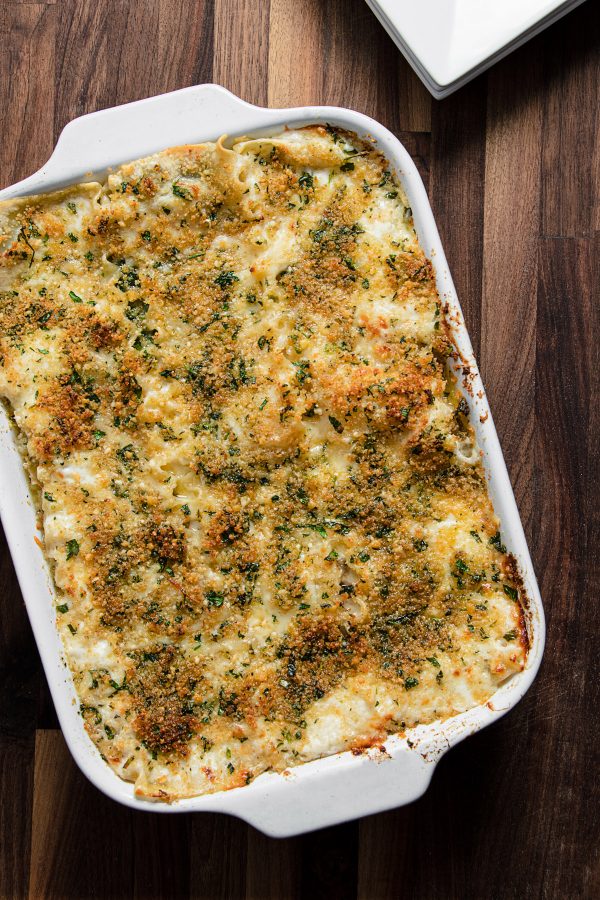 mac  cheese lasagna colavita recipes